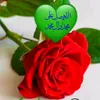 userbpenptsmo7