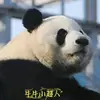 Chiến Thần Panda Manh Lan