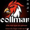 cargaimer1k