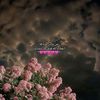 usery_41