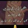 usernaveed076