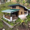 jopay6869