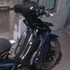 userpesonavega