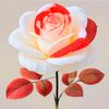 its_me_ananna99