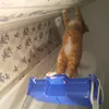 lusiamilaludmila