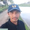 ansidipuger_
