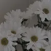 arayuki_