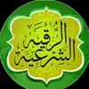 user1626133813029
