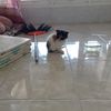 leti5717
