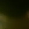 userlkort4ute2