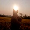ashasikder28