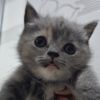seher_demir00
