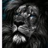 rayane_bouzid__27