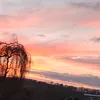 jasw_670
