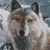 kolya9040