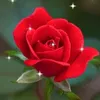 user22pq9hn3ug