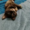 www.tiktok.manya_2714