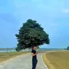 hen_em_chieu_thu_bay