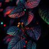 sada_halak133