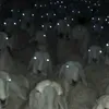 pashilaiagilsa