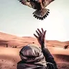 usery13xfjnq87