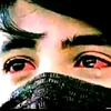 tofan1992