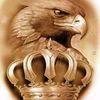 ziad11958