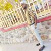 wednerlouis2