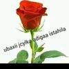 saiduser806208782059