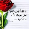 usereq1gcqoipz