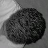 rashidshariif1