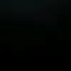 salmx_15
