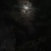sayran_hirori