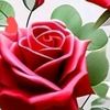 rituraj_111