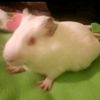 alixticuye
