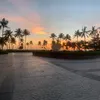 xin_binh_an1