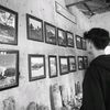 alfianmidar_