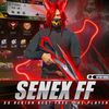 senex_2011