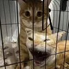 moxxiethef0x