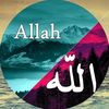 user41nrb7watk5