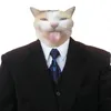 meocatmoiii