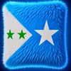ruush300