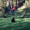 golfnpapabear