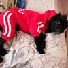 kirmikchi_olga
