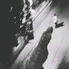 tiktok_goyo