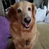 iphone_ming24