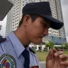 cuongnguyen29452