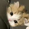 ilikewonniee