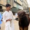 abdullrafay927