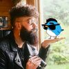 rocknrollbirder